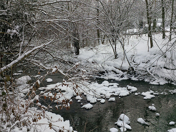 Stream in Waterloo Park in winter.